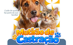 Mutirão de Castração