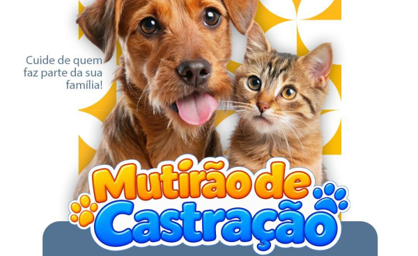 Mutirão de Castração