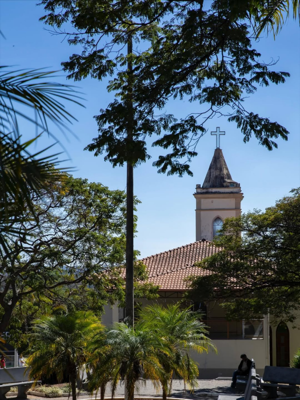 Dia da Árvore