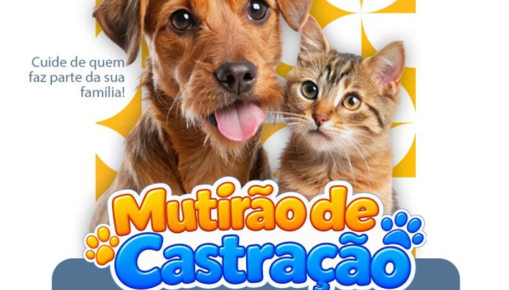 Mutirão de Castração